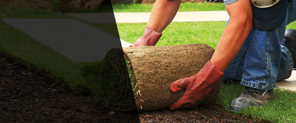 Motley Landscapers